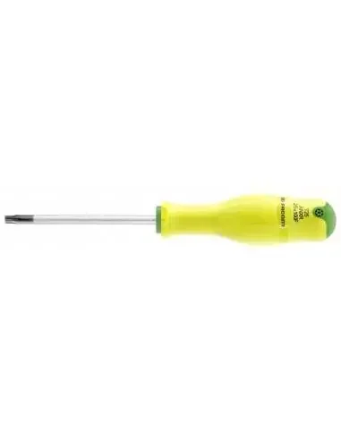ANXRF – Tournevis PROTWIST® pour vis Resistorx® – FLUO – ANXR25X100F – Facom