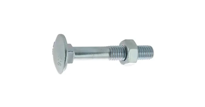 Boulon tête ronde collet carré TRCC acier zingué blanc, 7 x 50 mm, 200/bte – VISWOOD