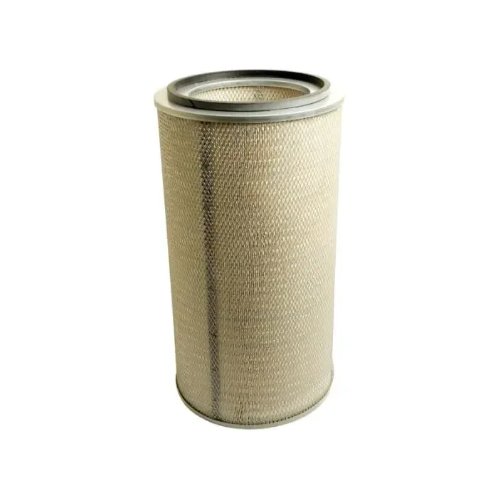 Filtre à air intérieur – AF25228M –