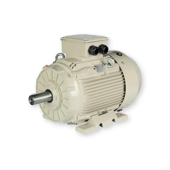 Moteur électrique triphasé 400/700V 30 kW 3000 tr/min – ST3200L24B5 Fonte Bride B5