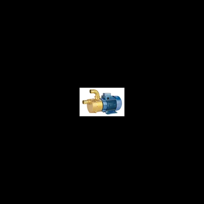 Pompe de transfert laiton – ECC 24-20 24V 0,22KW