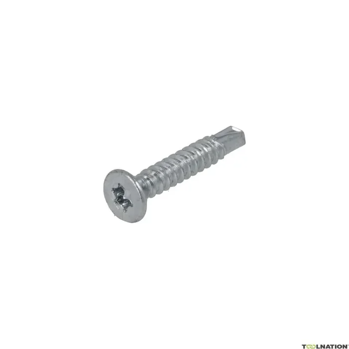 proftec 5251.01.28920 Vis à plaque autoperceuse VZ PK DIN7504P TX-20 4,2 x 19 mm – 200 pièces